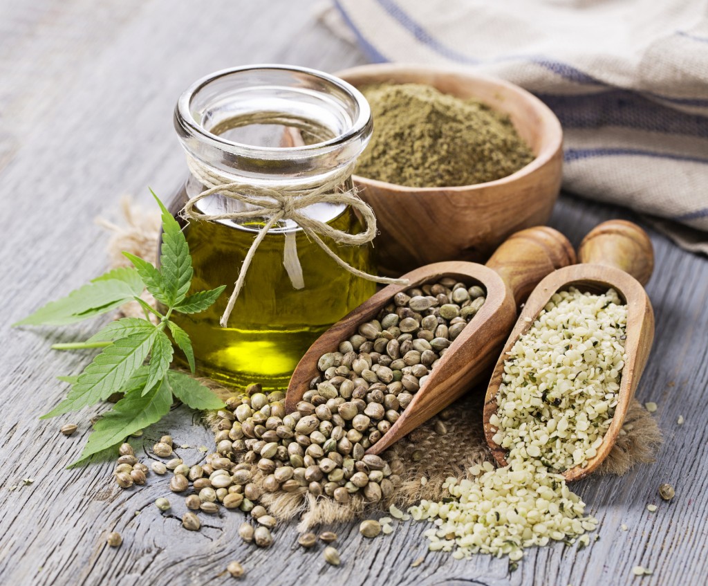 hemp-seed-protein
