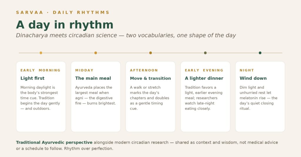 An illustrated timeline of a day arranged around natural rhythms: morning light, a midday main meal, afternoon movement, a lighter early dinner, and an evening wind-down — labeled with both Ayurvedic and circadian framings.